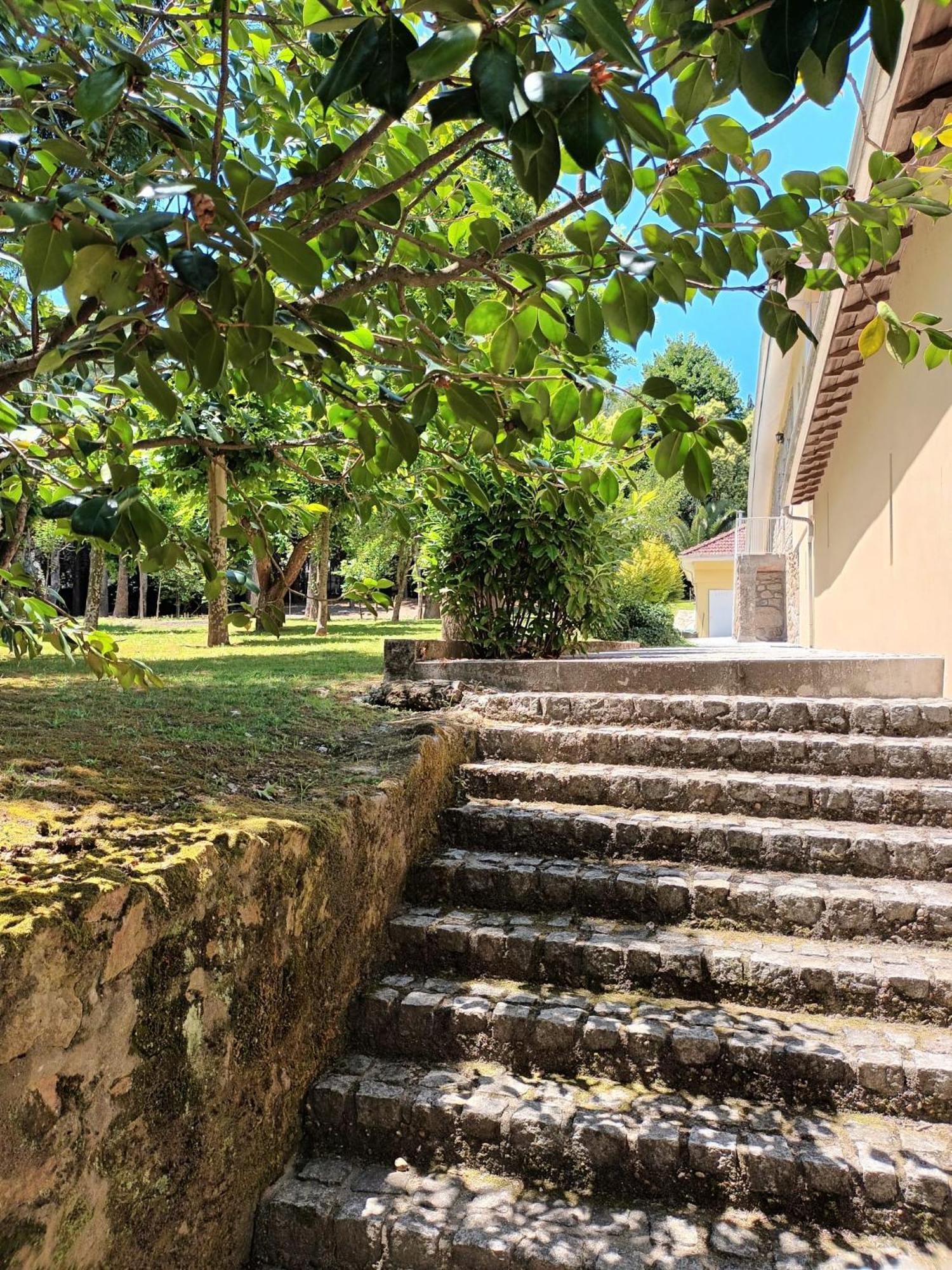 Casas Do Souto Guest House Lousada Exterior foto